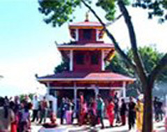 Picture two